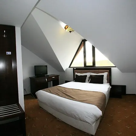 Pensiunea Clasic Guest house