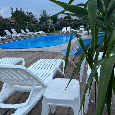Guest house Pensiunea Clasic Curtea De Arges