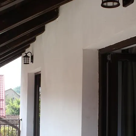 Pensiunea Clasic Guest house