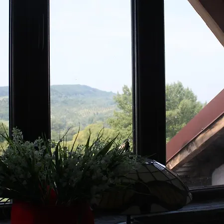 Pensiunea Clasic Guest house Curtea De Arges