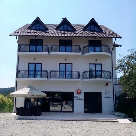Guest house Pensiunea Clasic